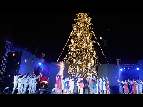 მთავარი ნაძვის ხის ანთება  Тбилиси / Зажглись огни главной новогодней ёлки / Праздничный фейерверк